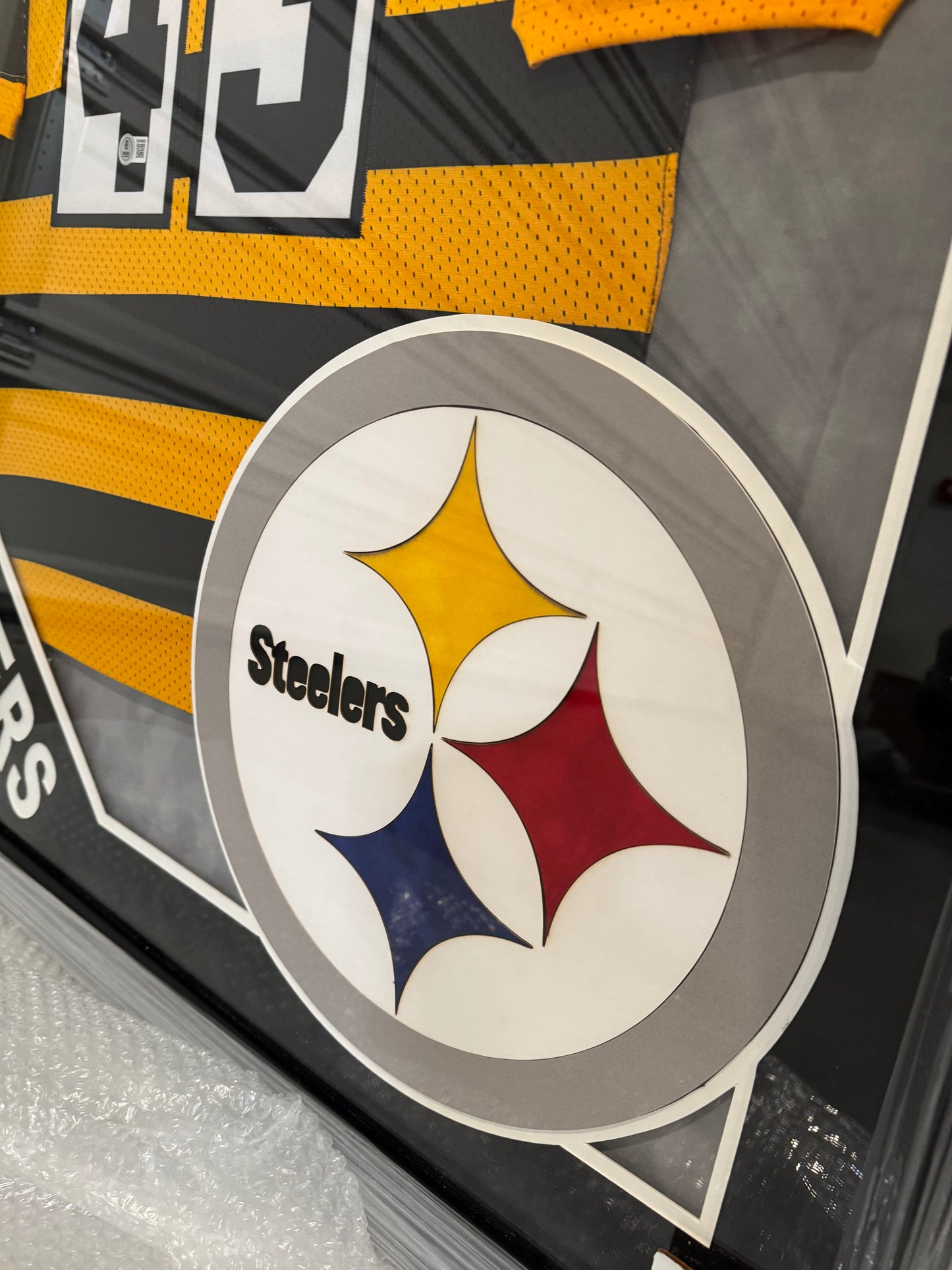 Jersey Firmado POLAMALU