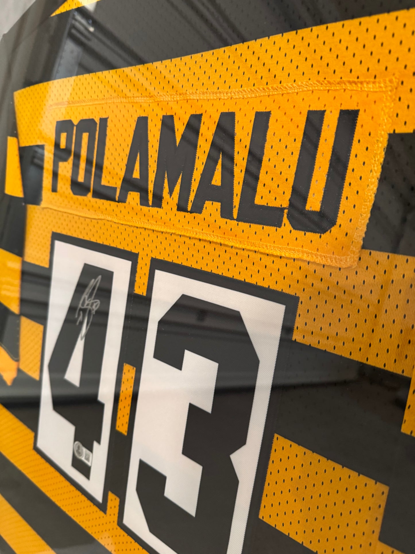 Jersey Firmado POLAMALU