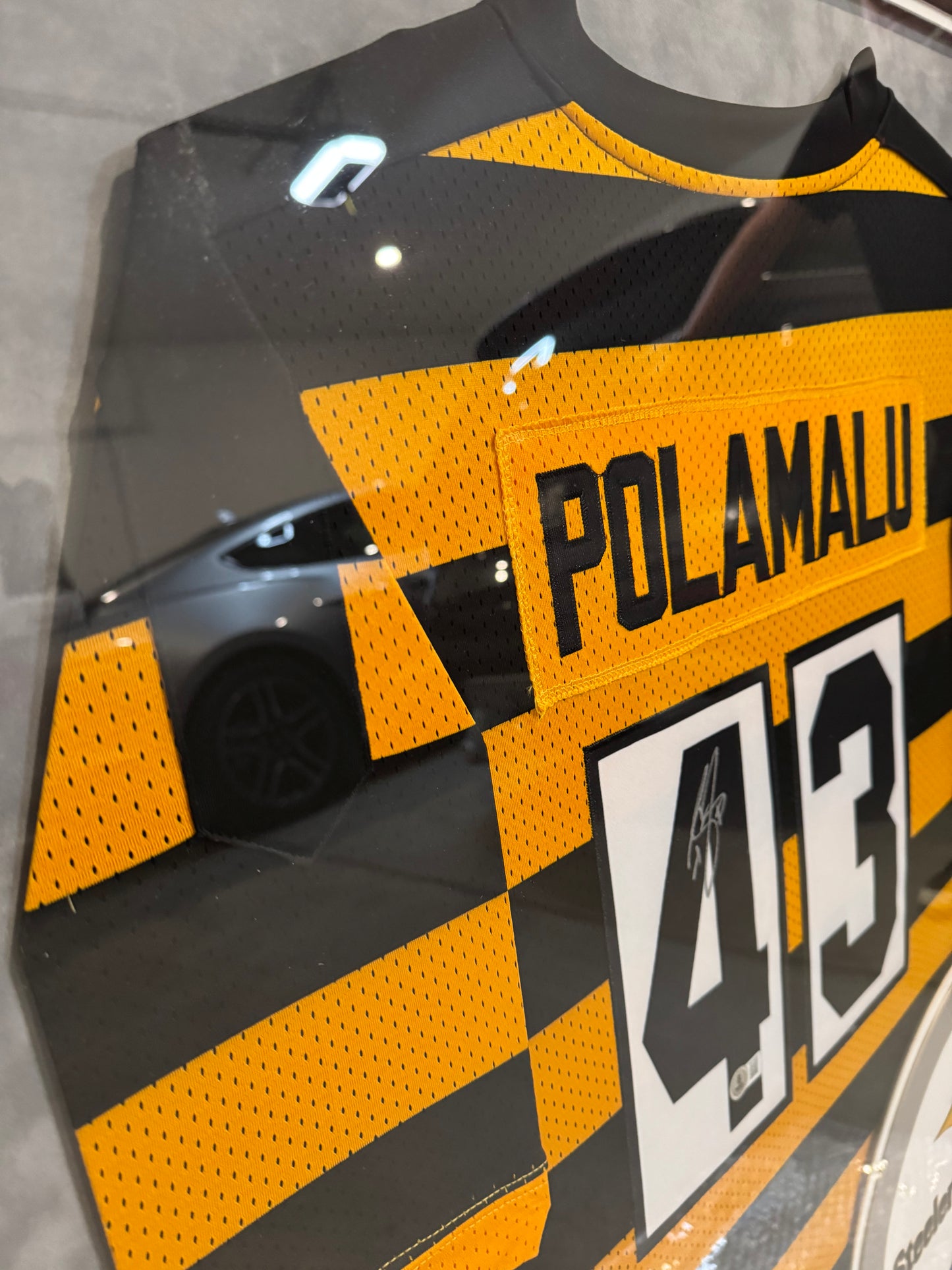 Jersey Firmado POLAMALU