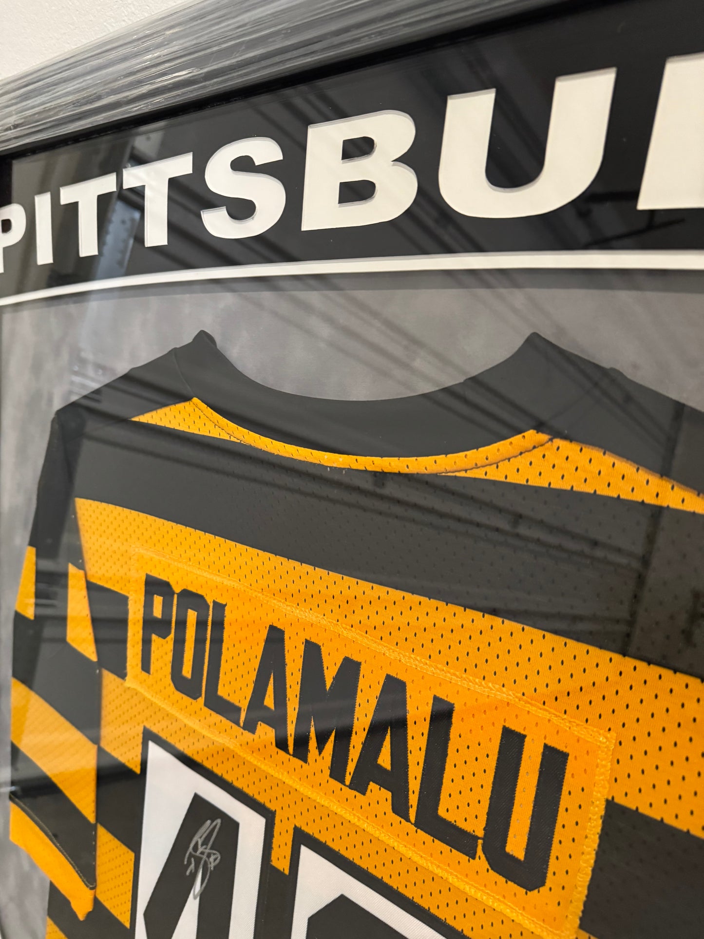Jersey Firmado POLAMALU