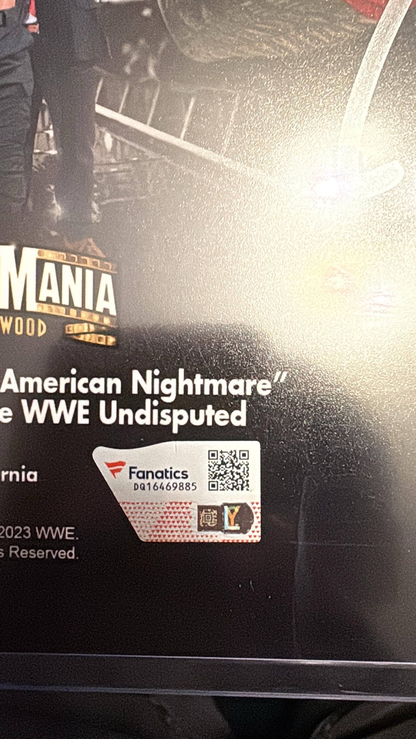 Roman Reigns Autografiada "1000 Days as Champ" 11" x 14" FOTO Fanatics