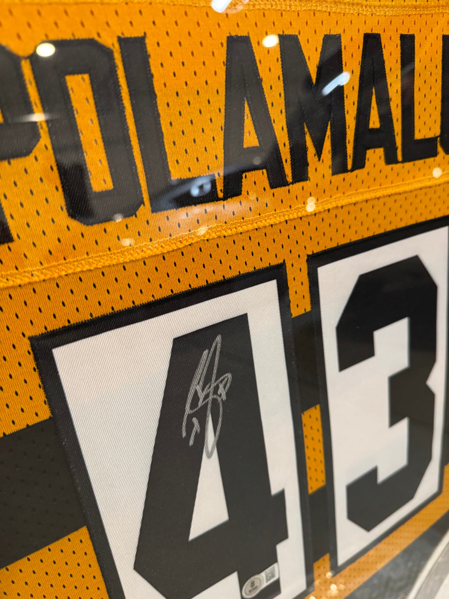 Jersey Firmado POLAMALU