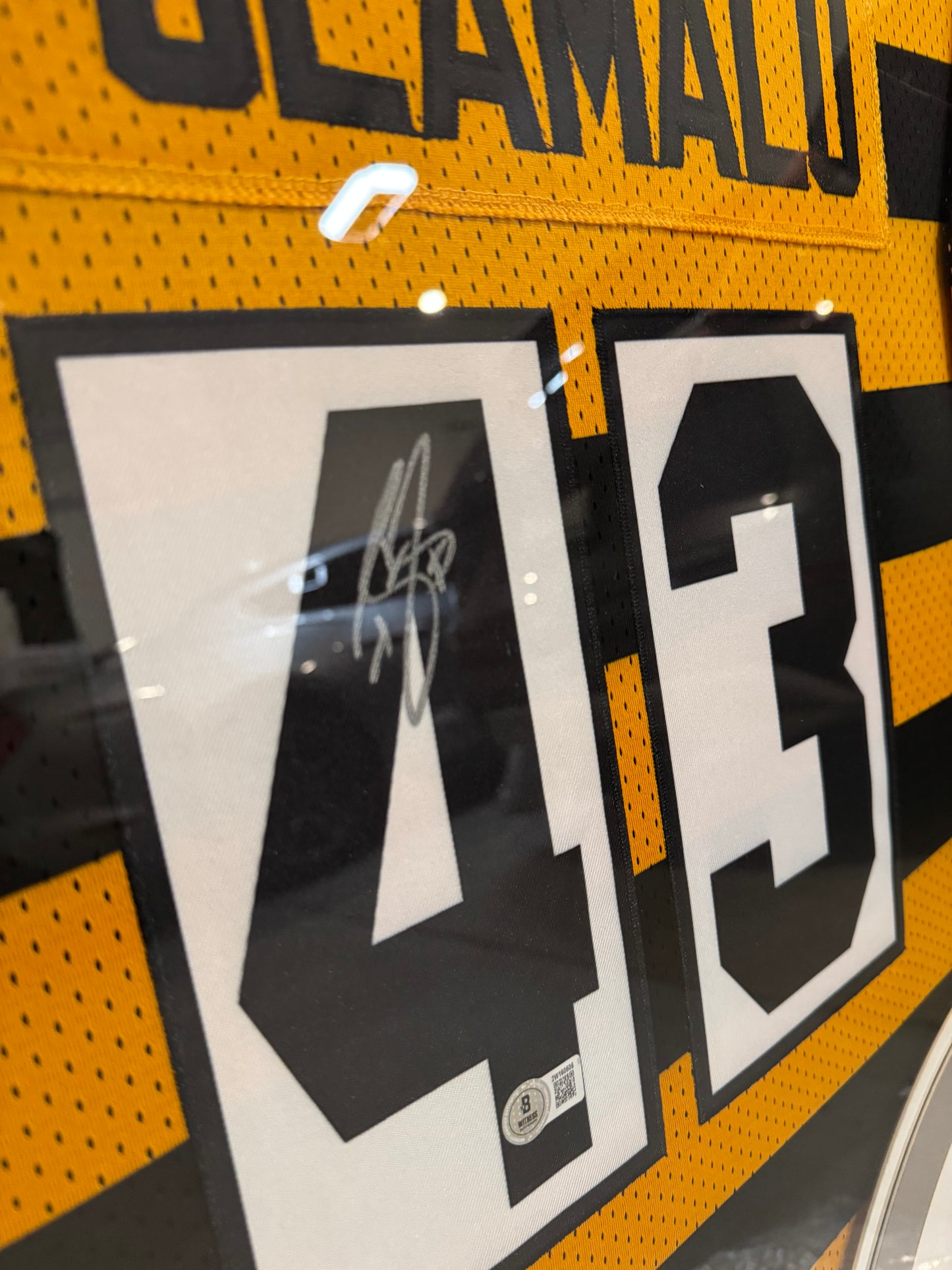 Jersey Firmado POLAMALU